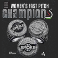 Load image into Gallery viewer, Atlanta Smoke -  Unisex 3X Champs Creator T
